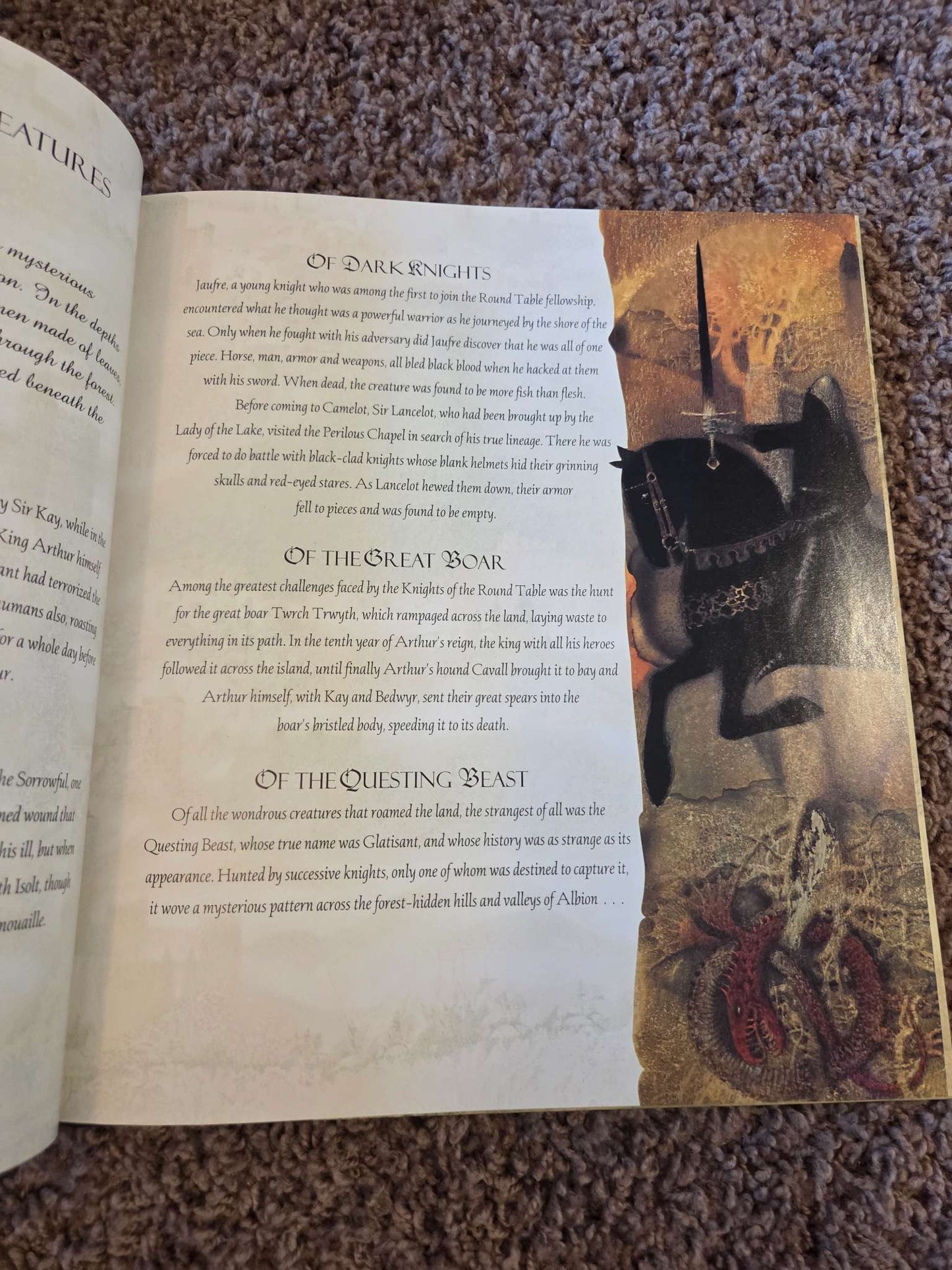 Arthur of Albion, hard cover chapter book 8