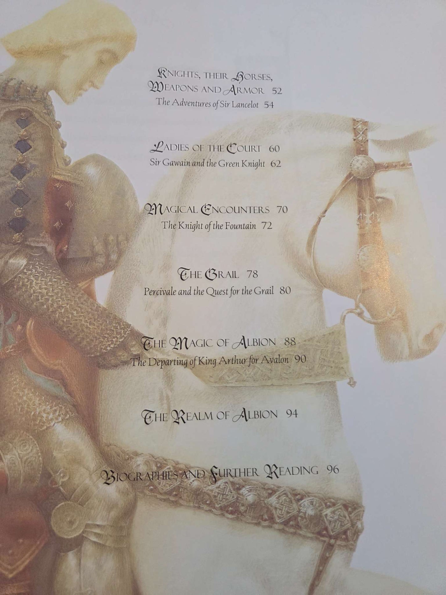 Arthur of Albion, hard cover chapter book 8