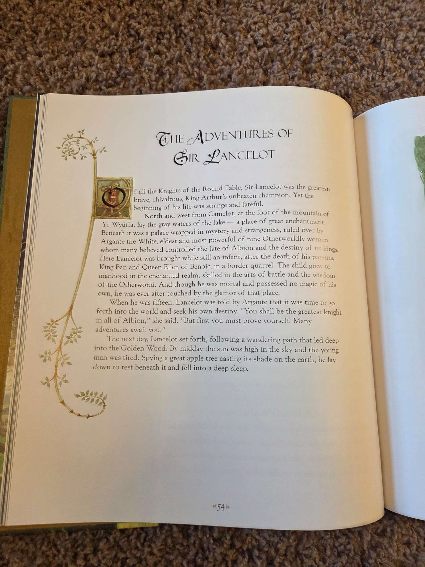Arthur of Albion, hard cover chapter book 8