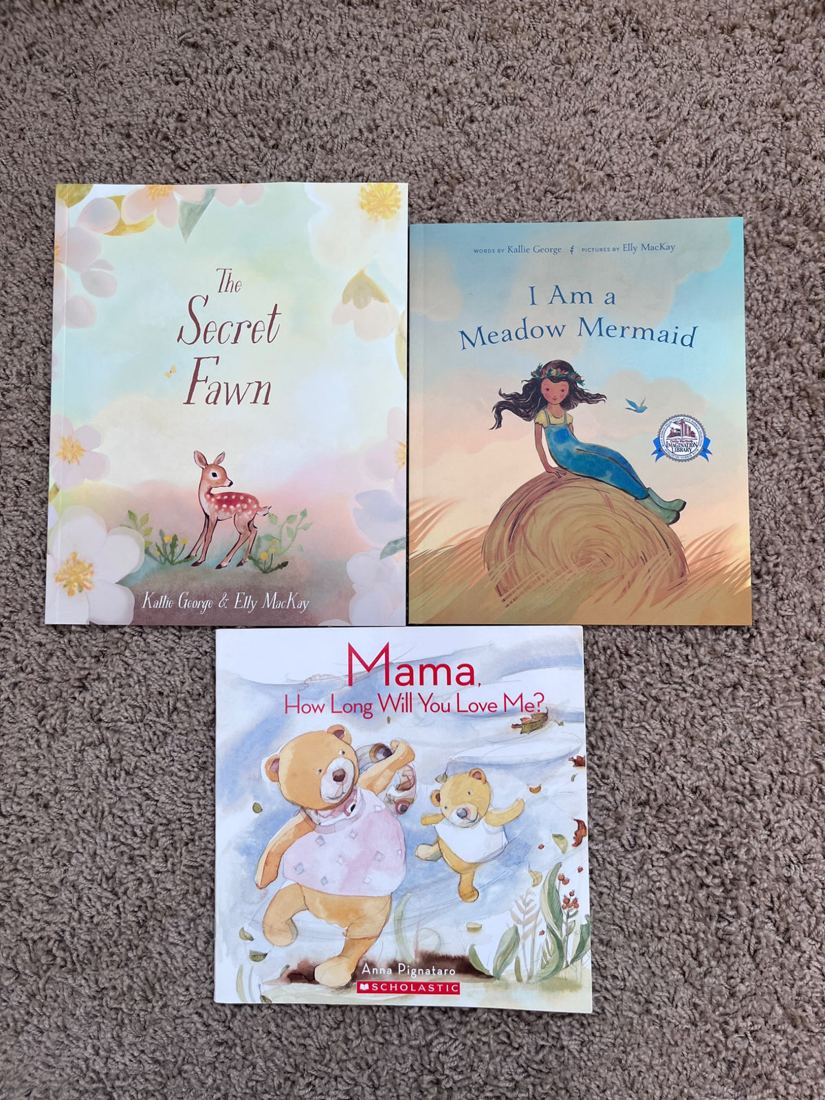 Children’s book bundle