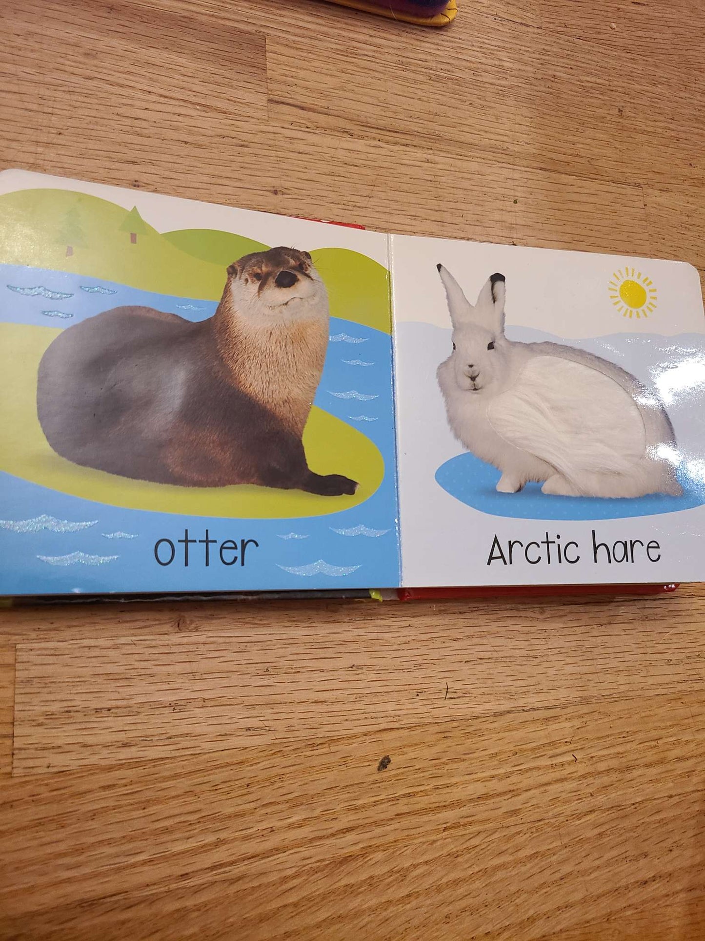 Touch and feel books.. 2 pcs