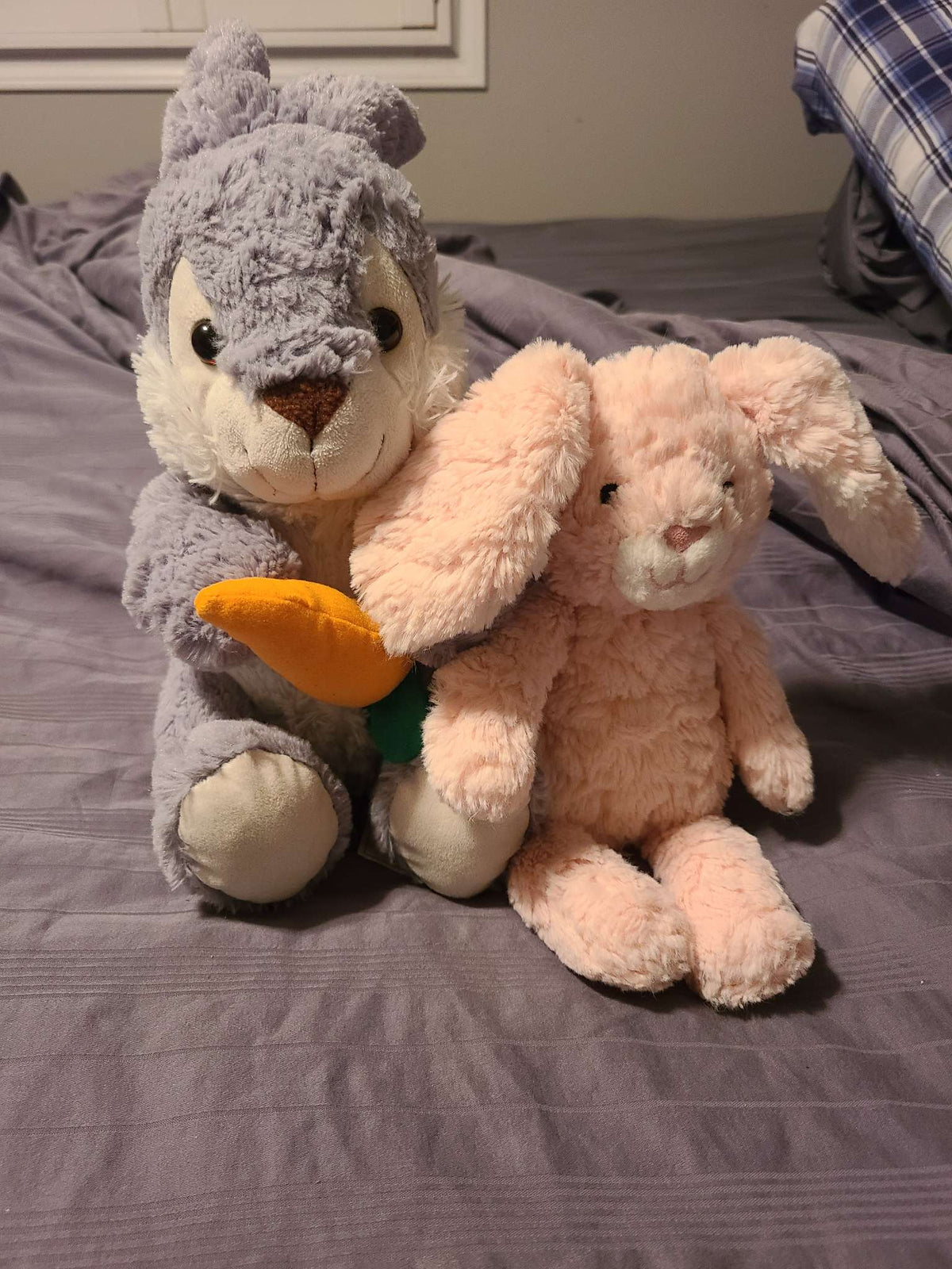 Bunny stuffies