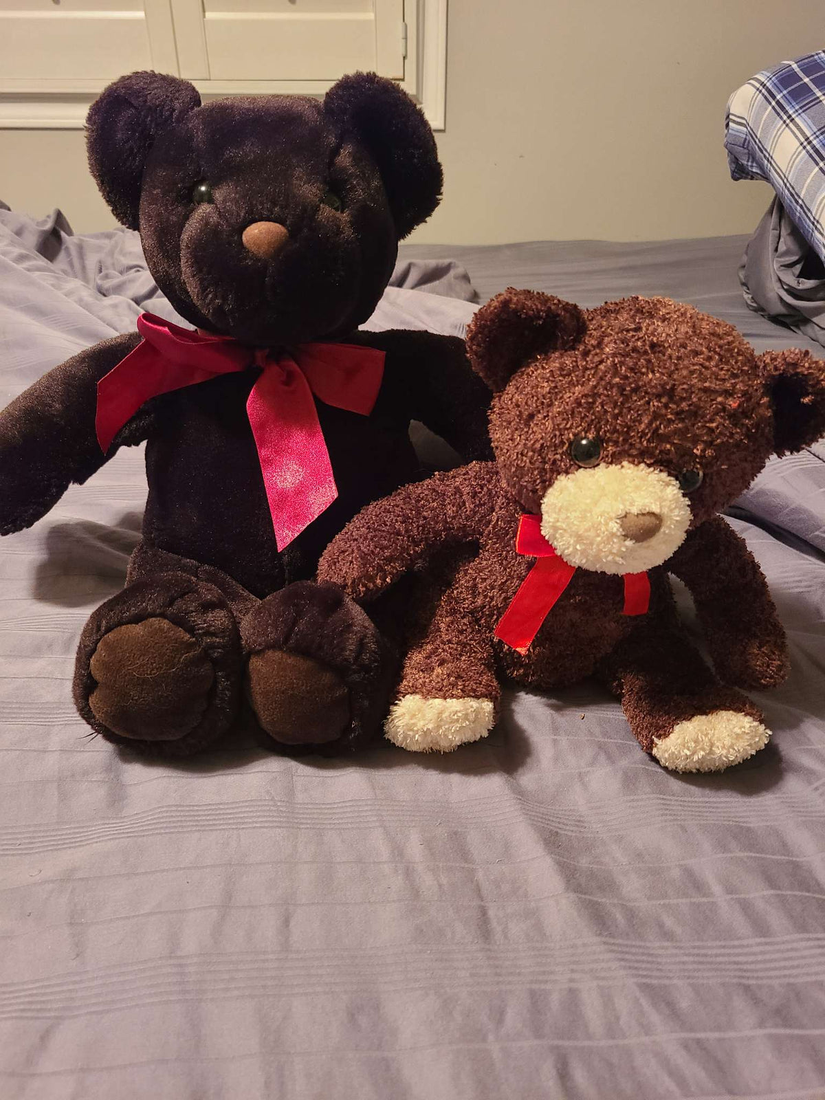 Teddy bears