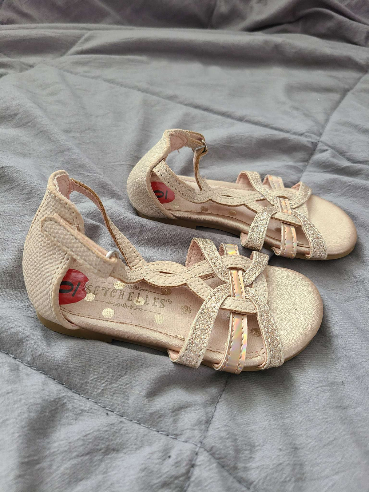 Size 6 Seychelles sandals , Shoes 6 (Walkers:12-24 mth)