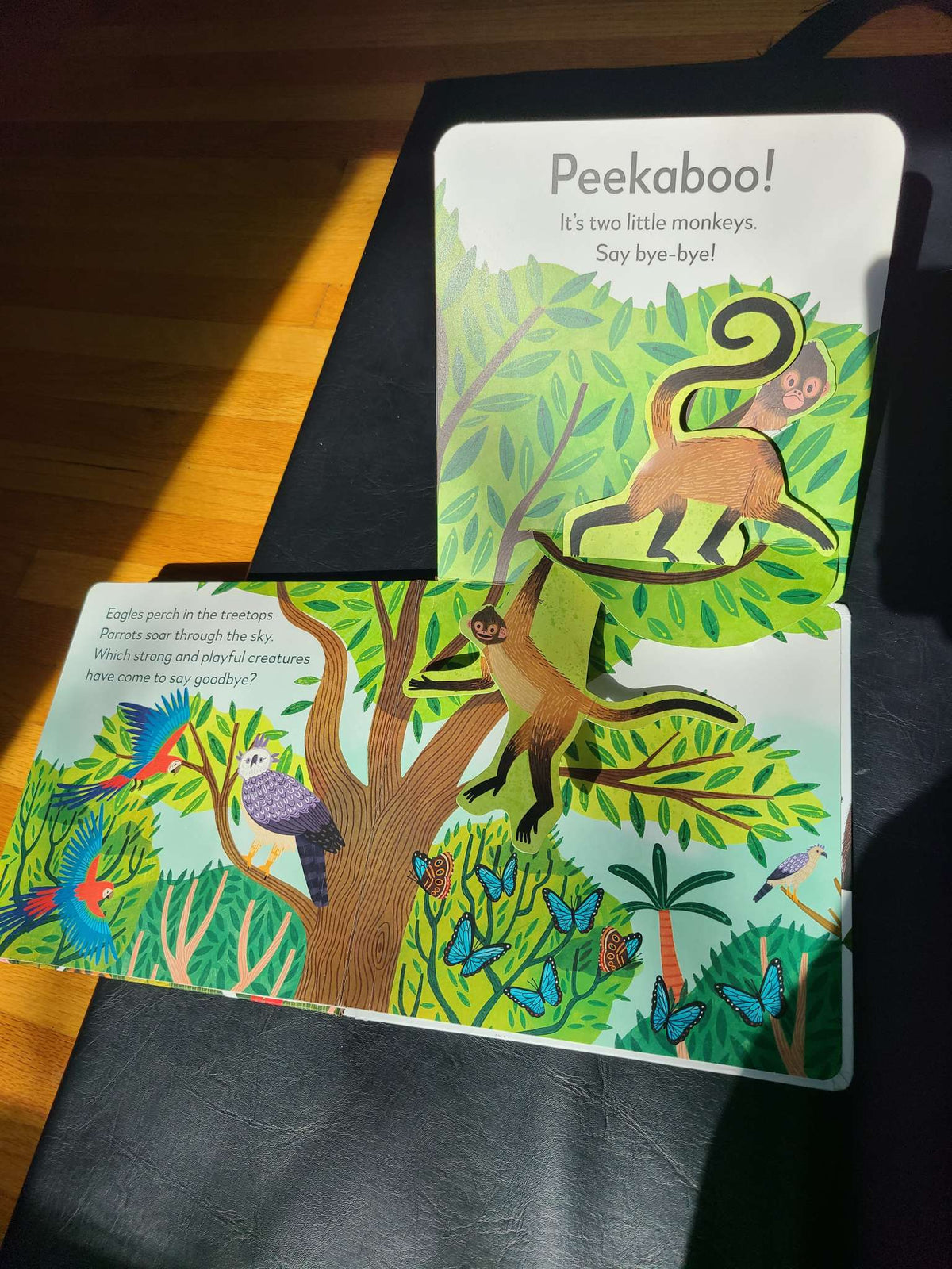 Pop up peekaboo rainforest