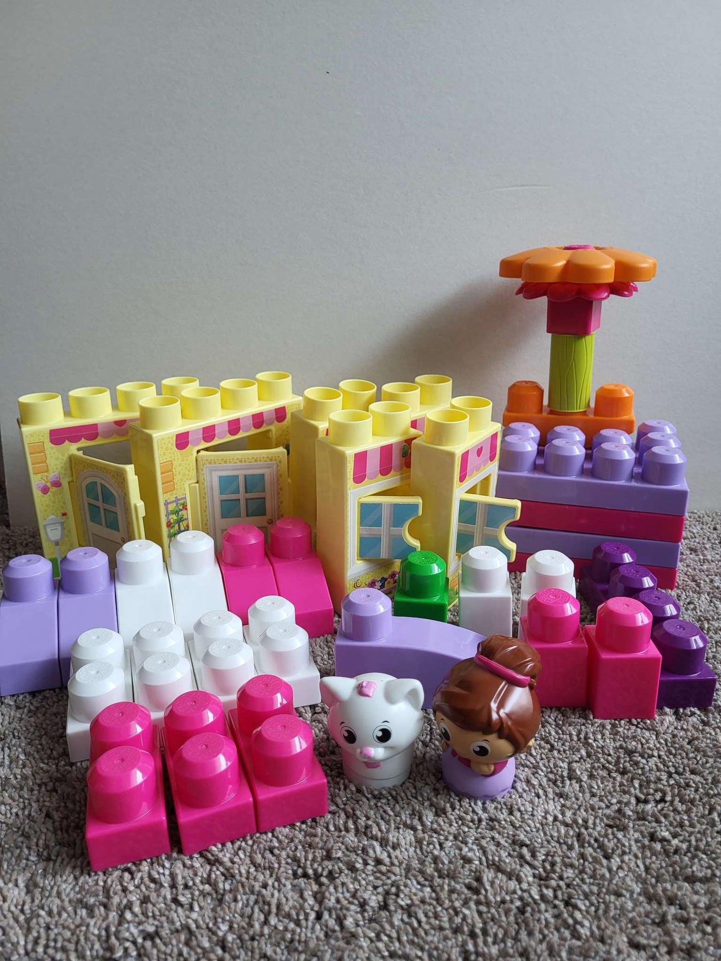 Girls Mega Bloks Set