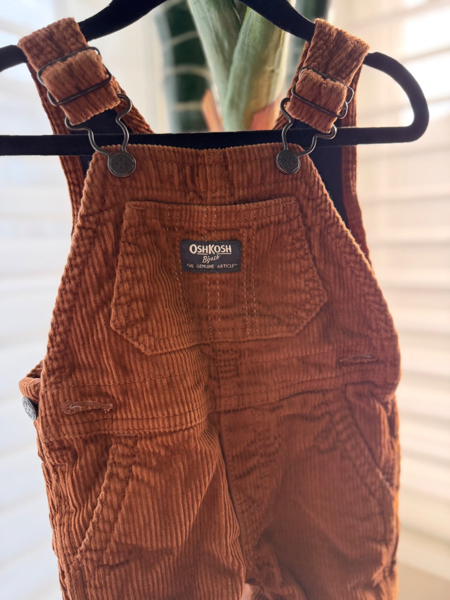 Adorable Fall Overalls 🍁 (9 mos) , Kids 9 Month (6-9M)