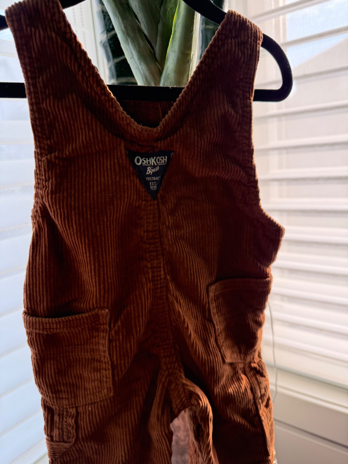 Adorable Fall Overalls 🍁 (9 mos) , Kids 9 Month (6-9M)