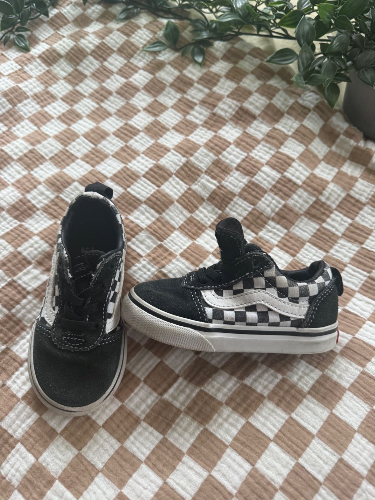 Baby Vans slipons , Shoes 7 (Walkers:12-24 mth)