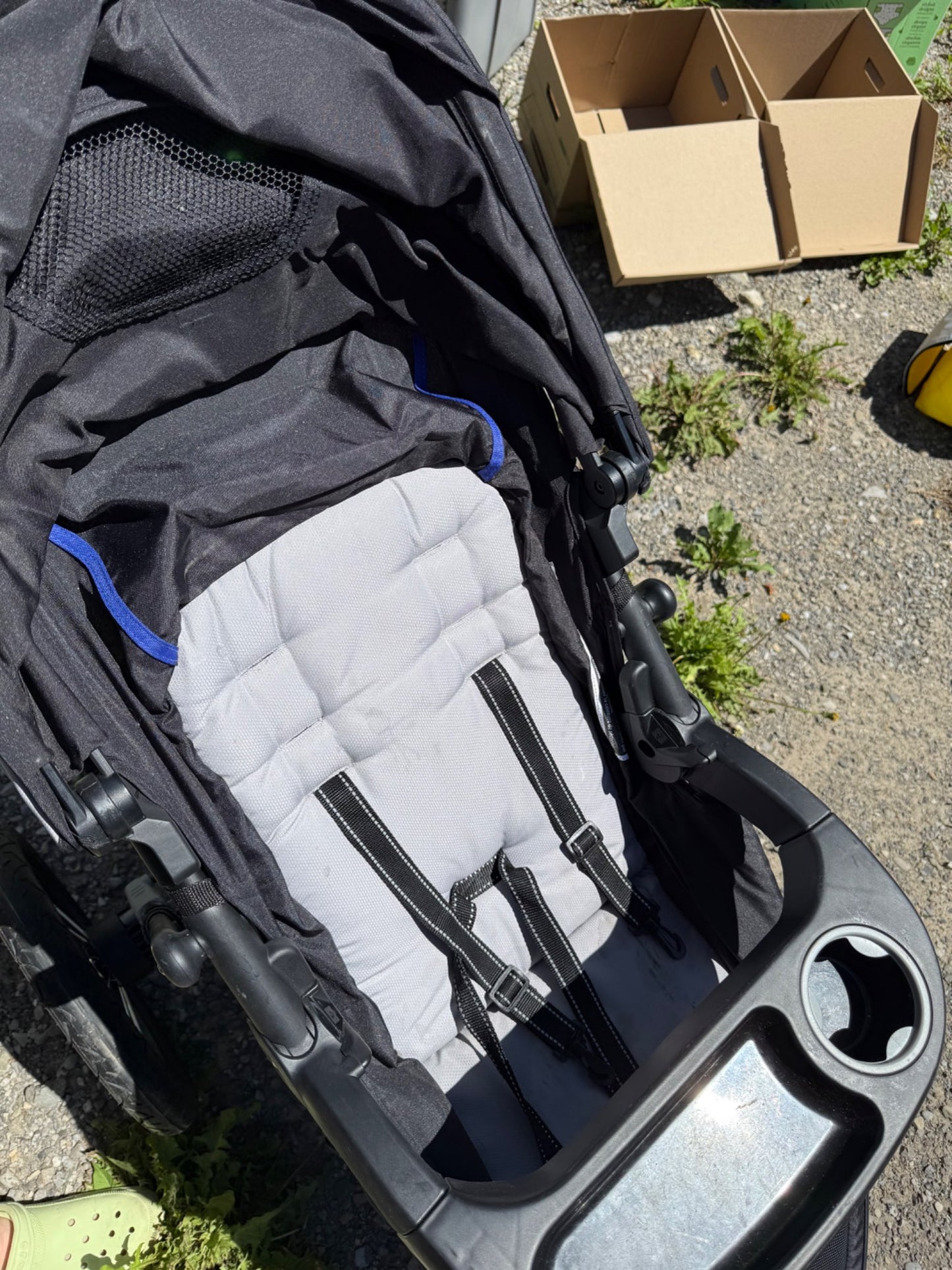 Schwinn jogging stroller