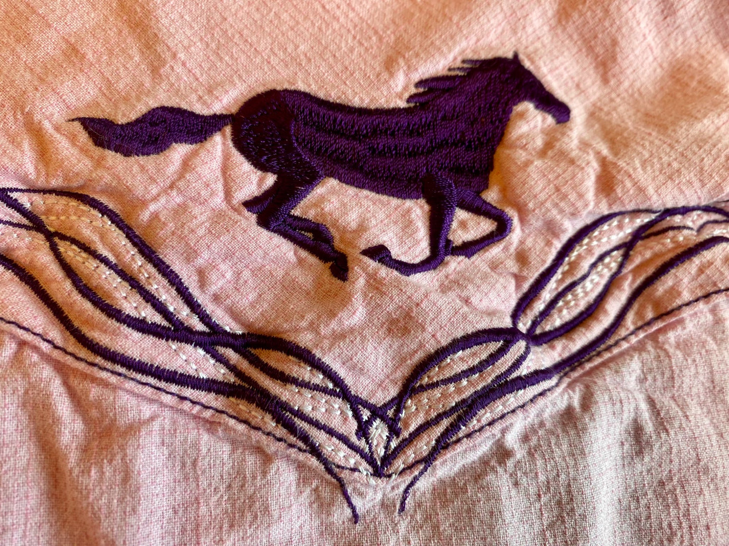 3-4T Levi & Cowgirl Hardware shirts
