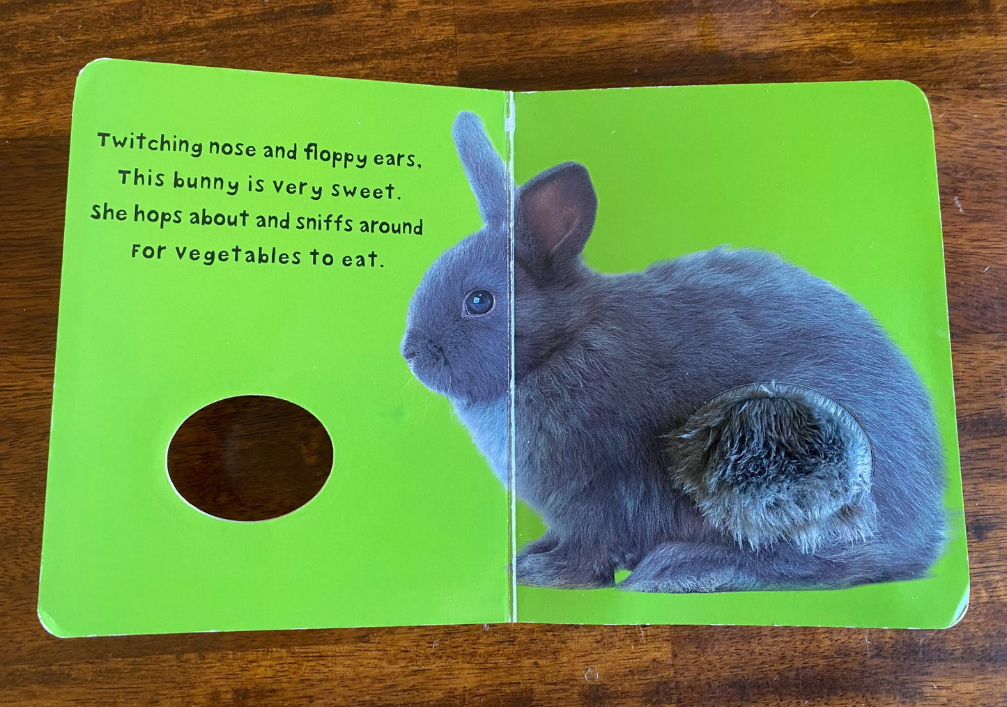 Book bundle Touch & Feel Animals