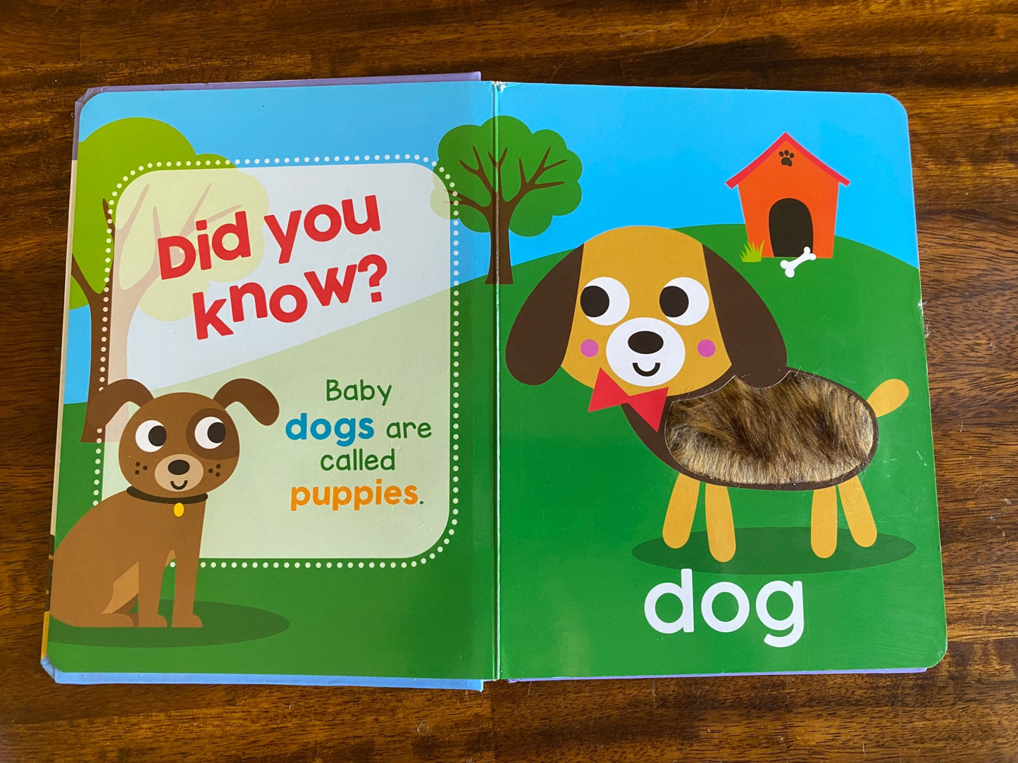 Book bundle Touch & Feel Animals