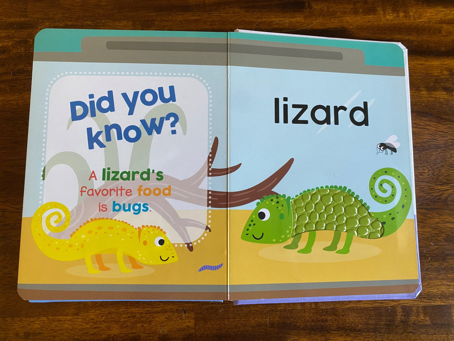 Book bundle Touch & Feel Animals