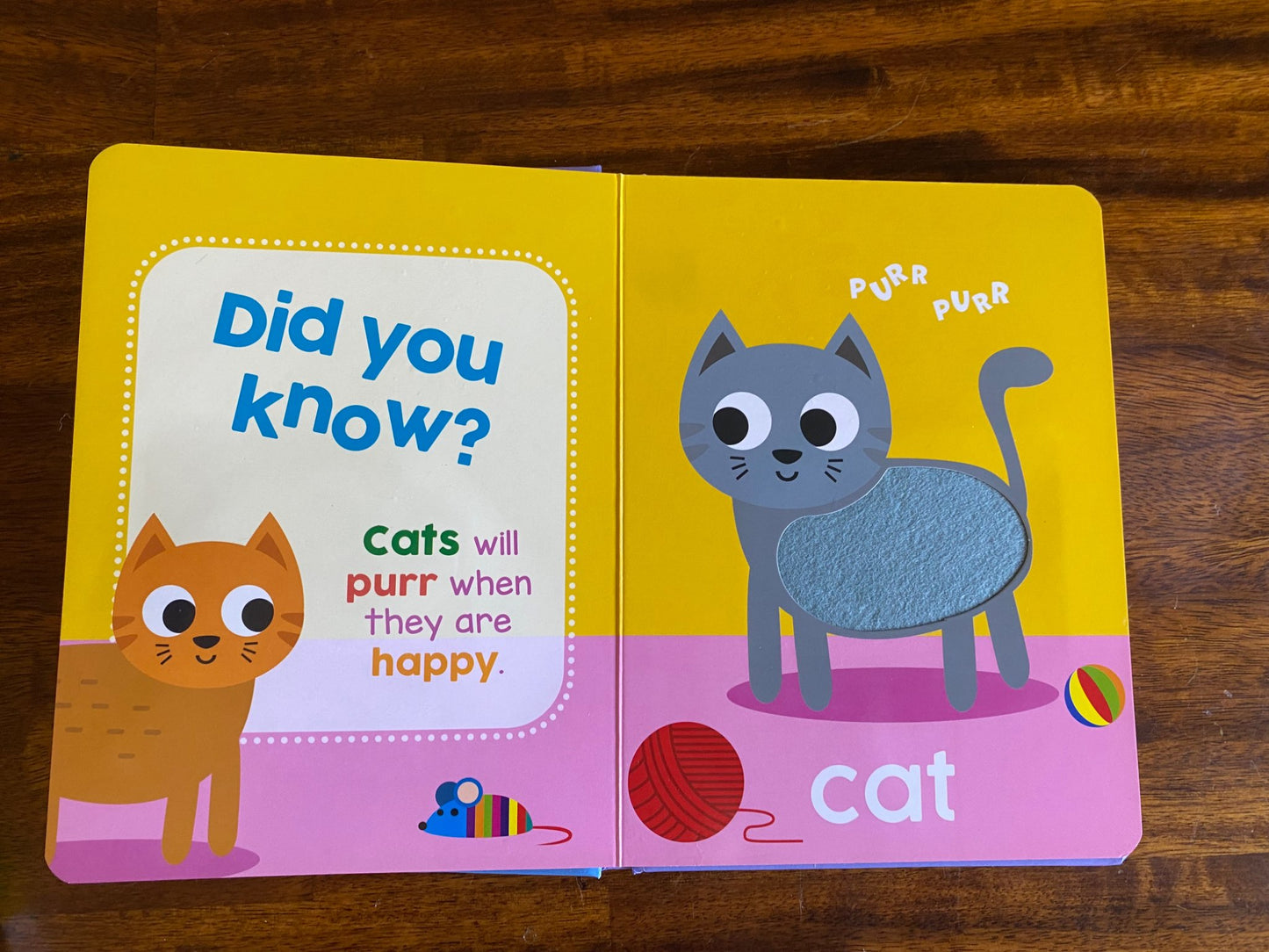 Book bundle Touch & Feel Animals