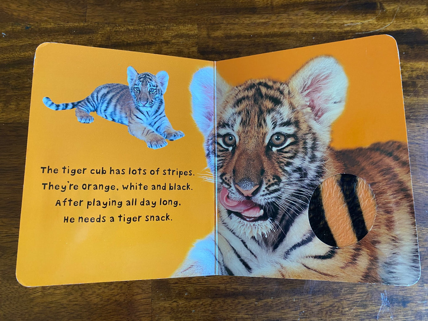 Book bundle Touch & Feel Animals