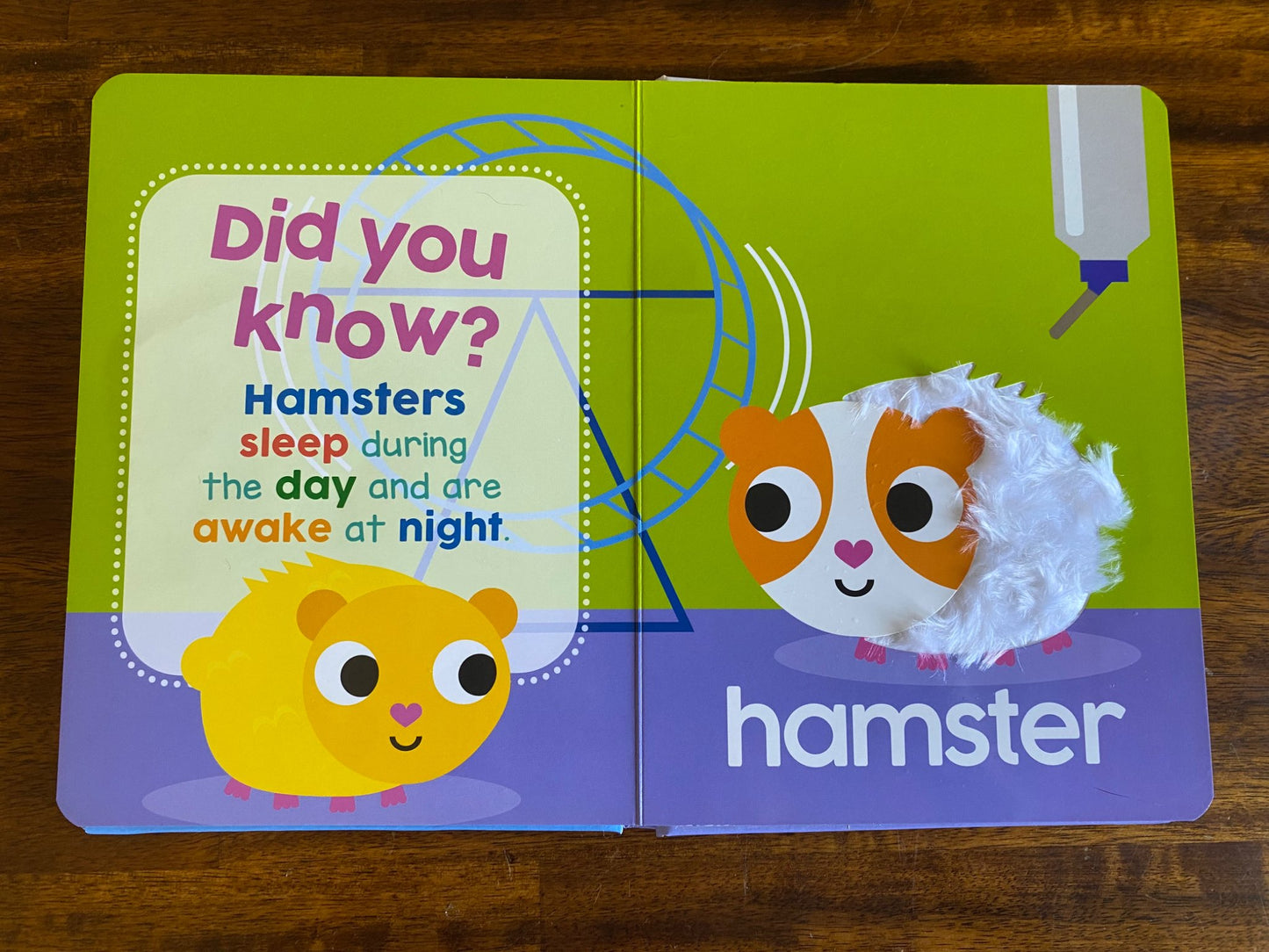 Book bundle Touch & Feel Animals