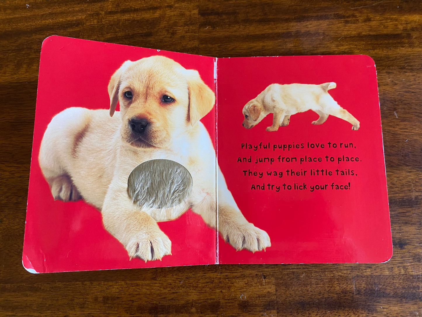 Book bundle Touch & Feel Animals