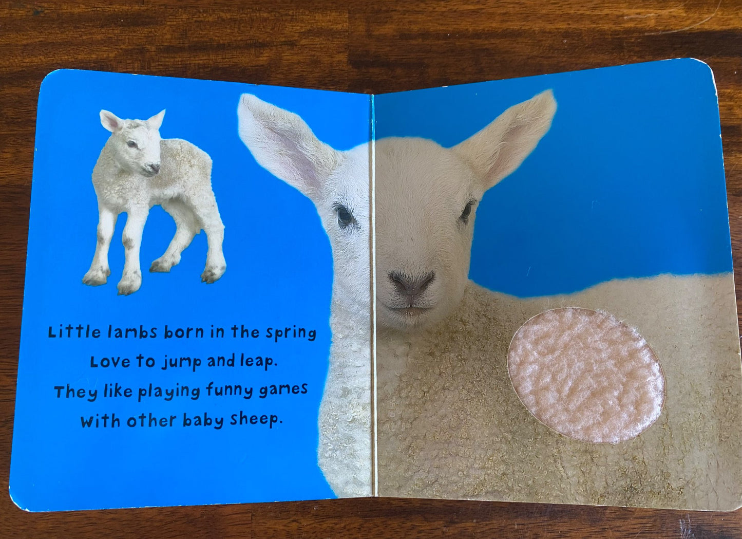 Book bundle Touch & Feel Animals