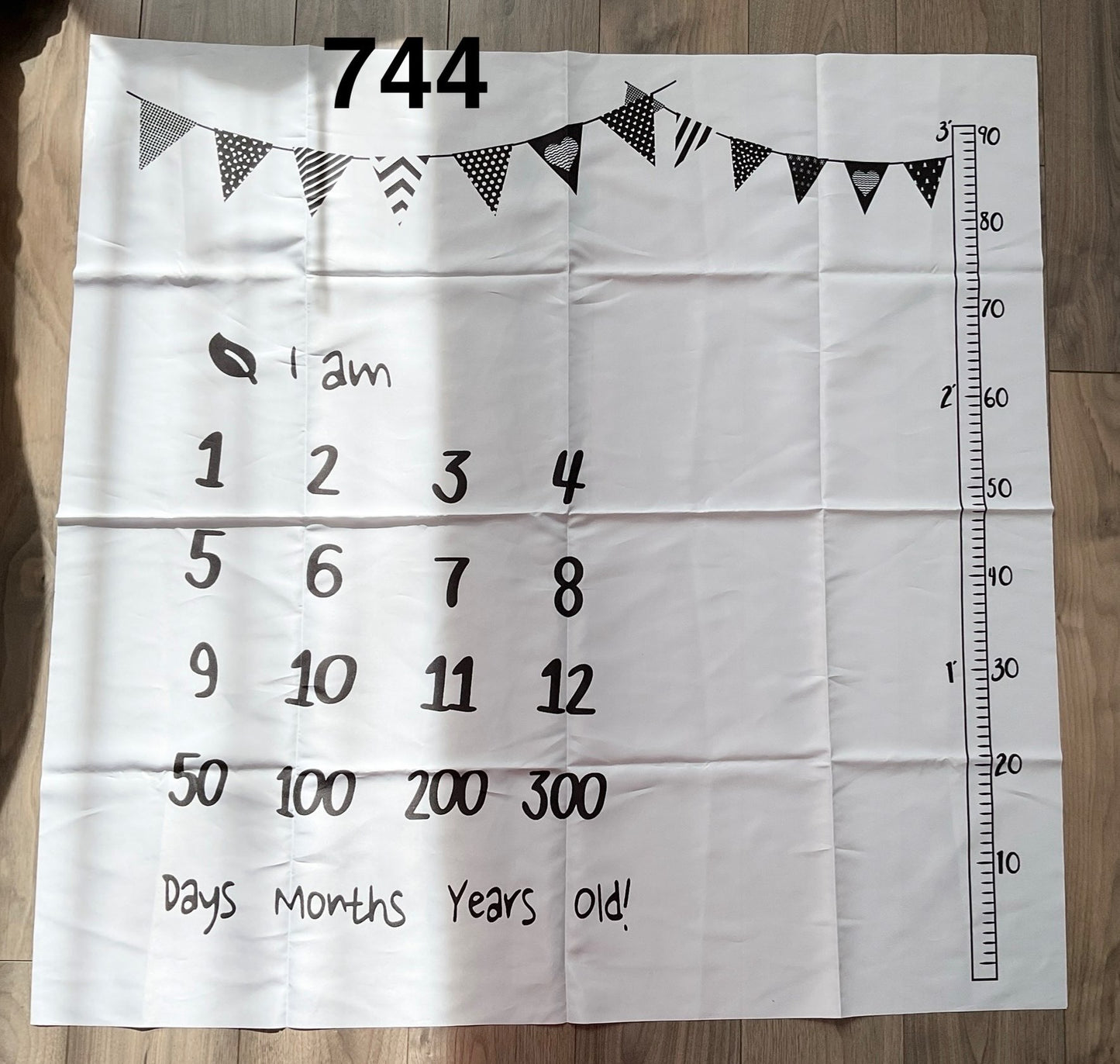 Baby Milestone Sheet