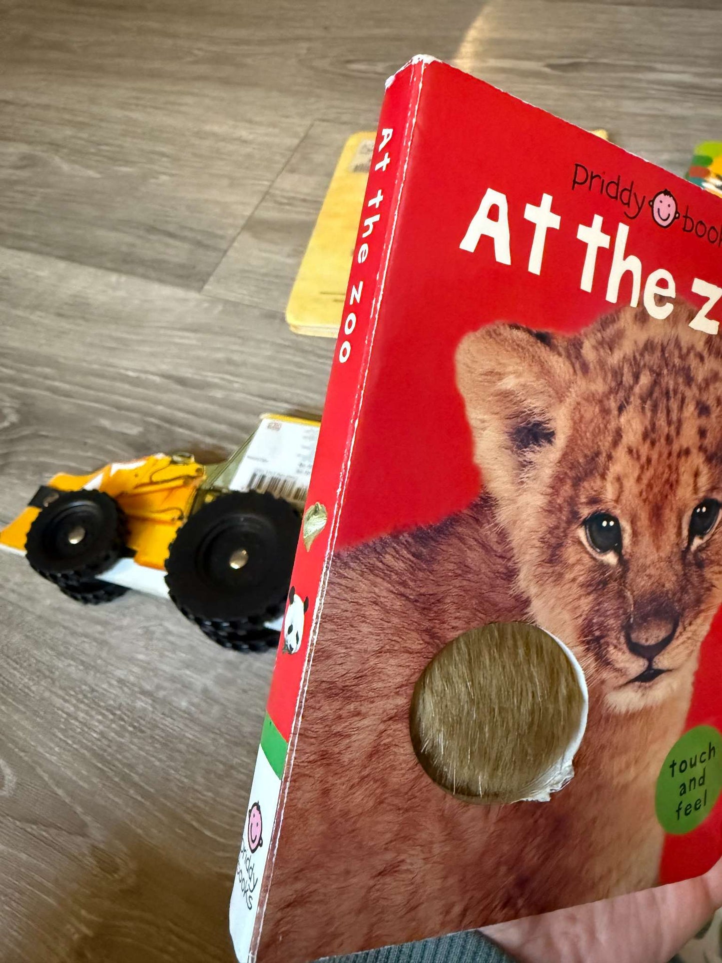 Infant/Toddler interactive books