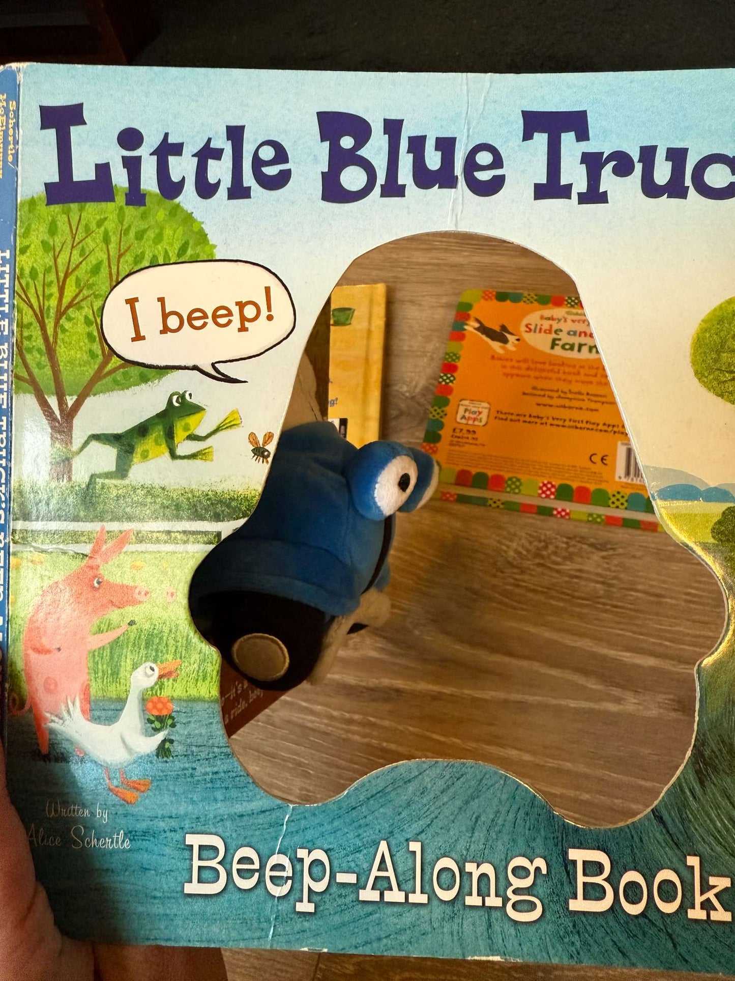 Infant/Toddler interactive books
