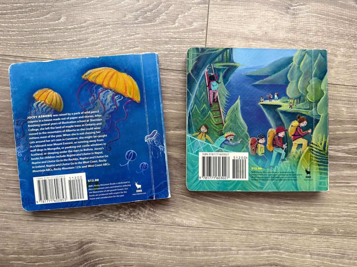 Canadian Board Book duo