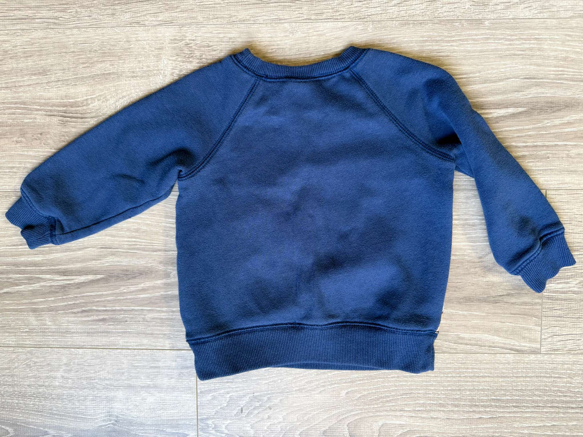Paw Patrol sweatshirt 2T, Kids 2T