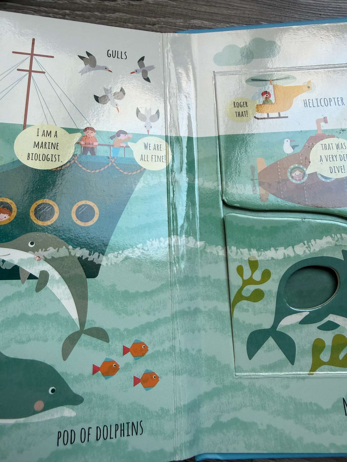 Peek Inside - chunky flap books