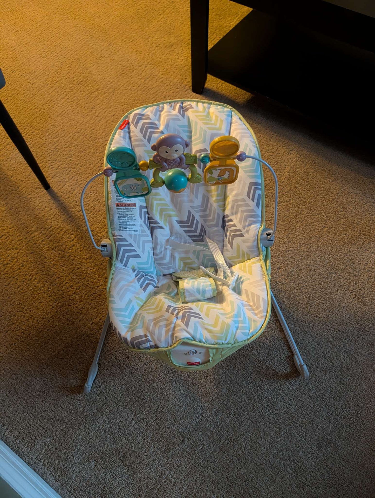 Fisher Price bouncer