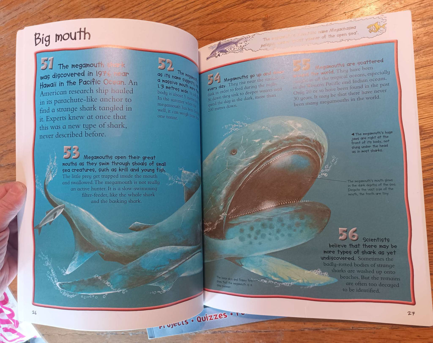 100 Facts Prehistoric Life + Sharks