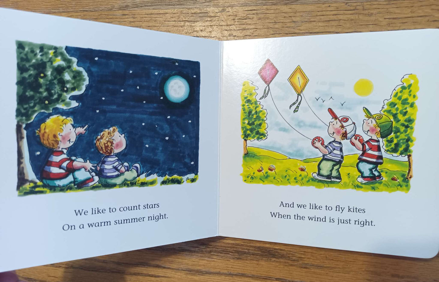 Brothers Forever Board Book