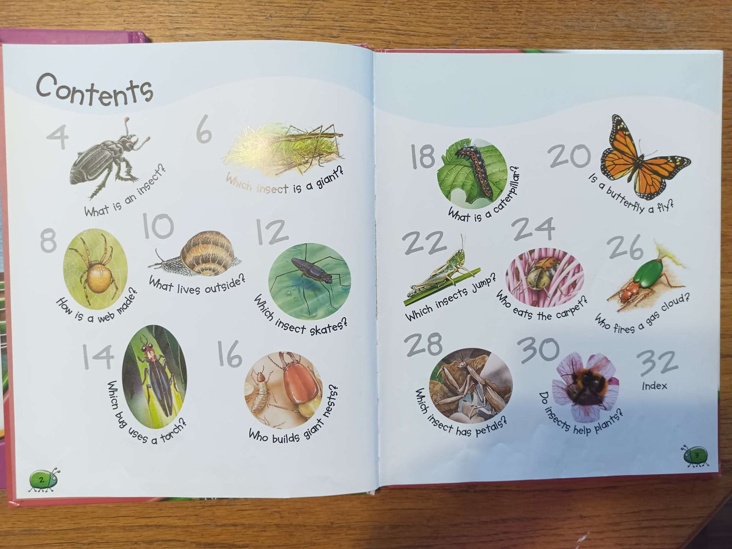 Ask Me - Plants & Bugs - Topic of Questions Books