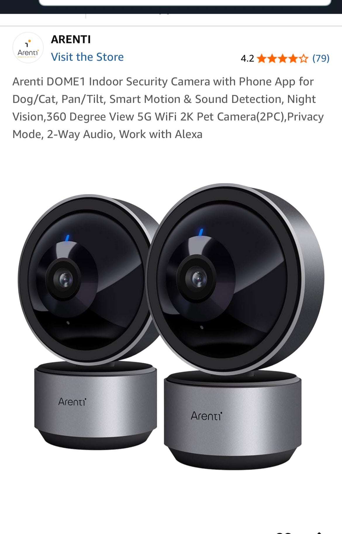 Monitor camera