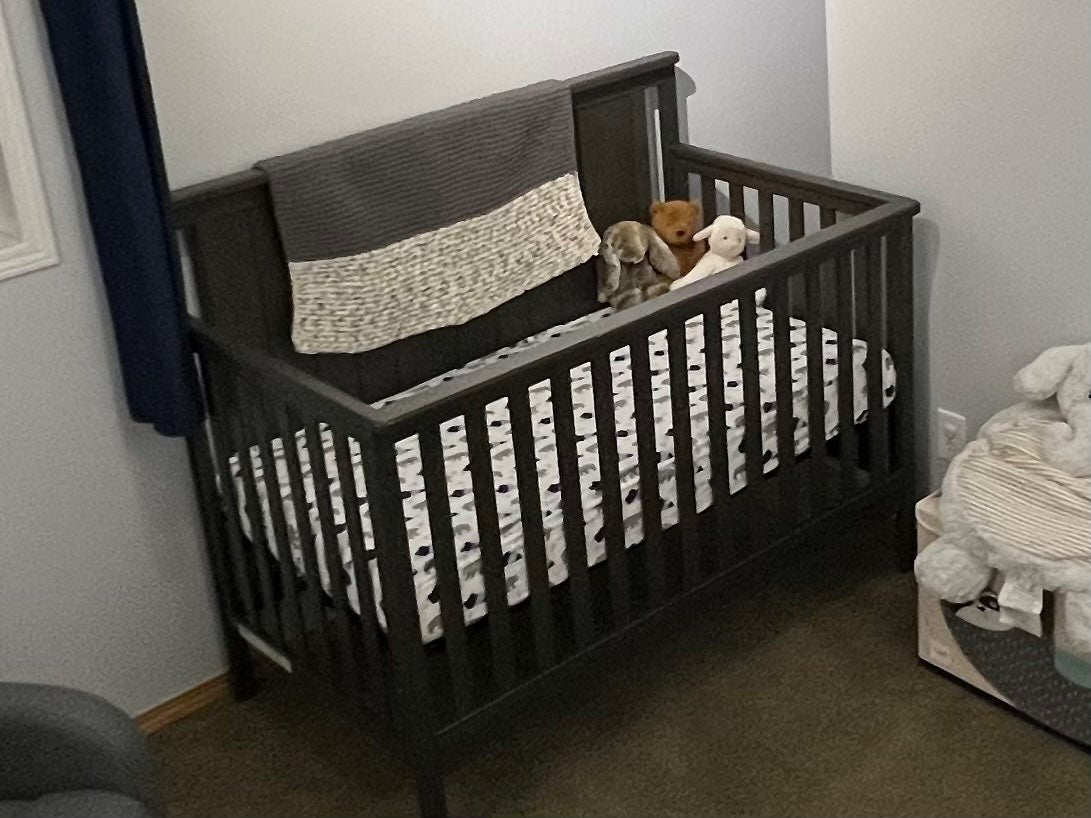 Child Craft Forever Eclectic Convertible Crib and Toddler Rail (Retail Price ~$500)