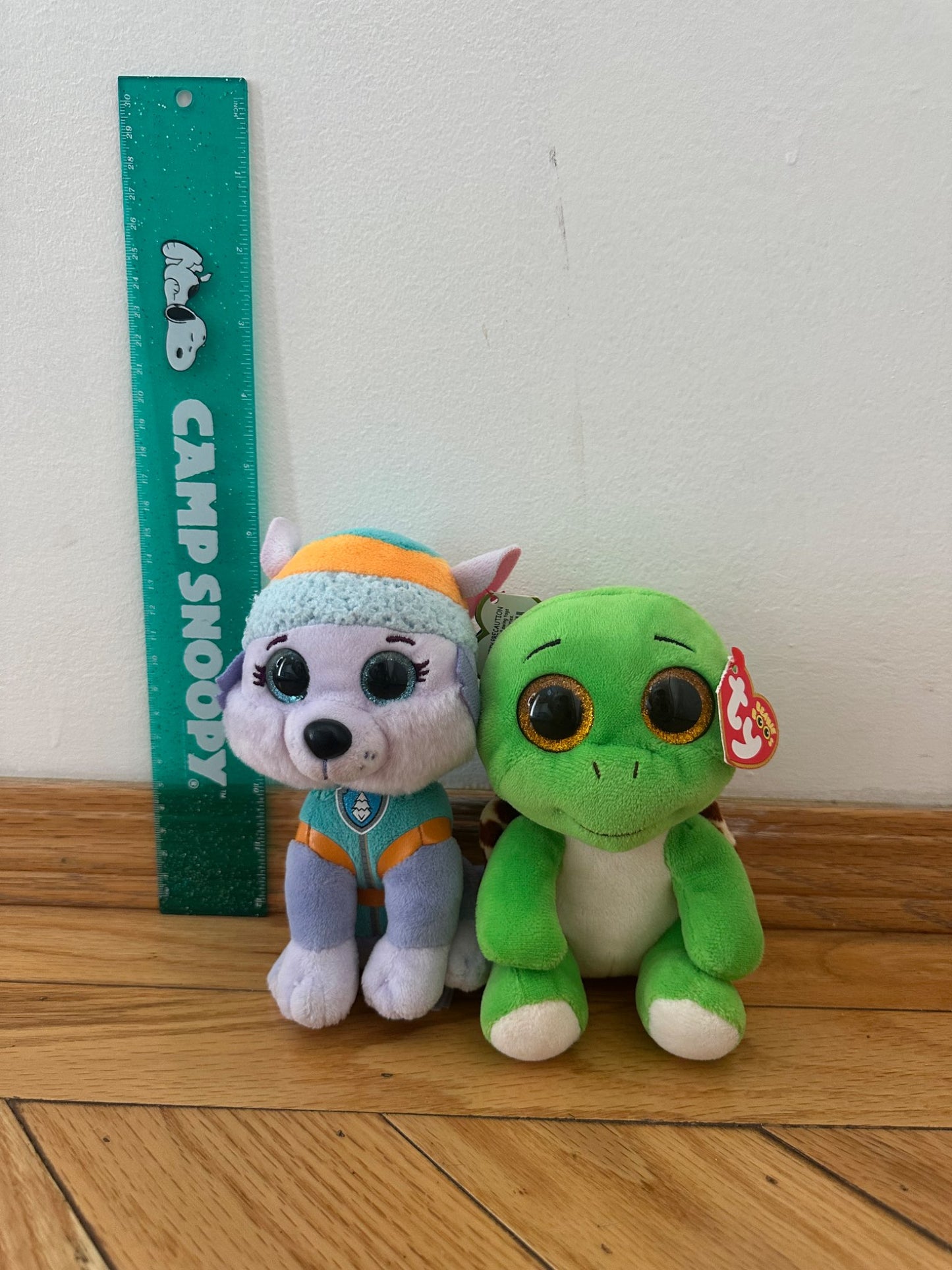 Puppy/Turtle Ty Stuffies