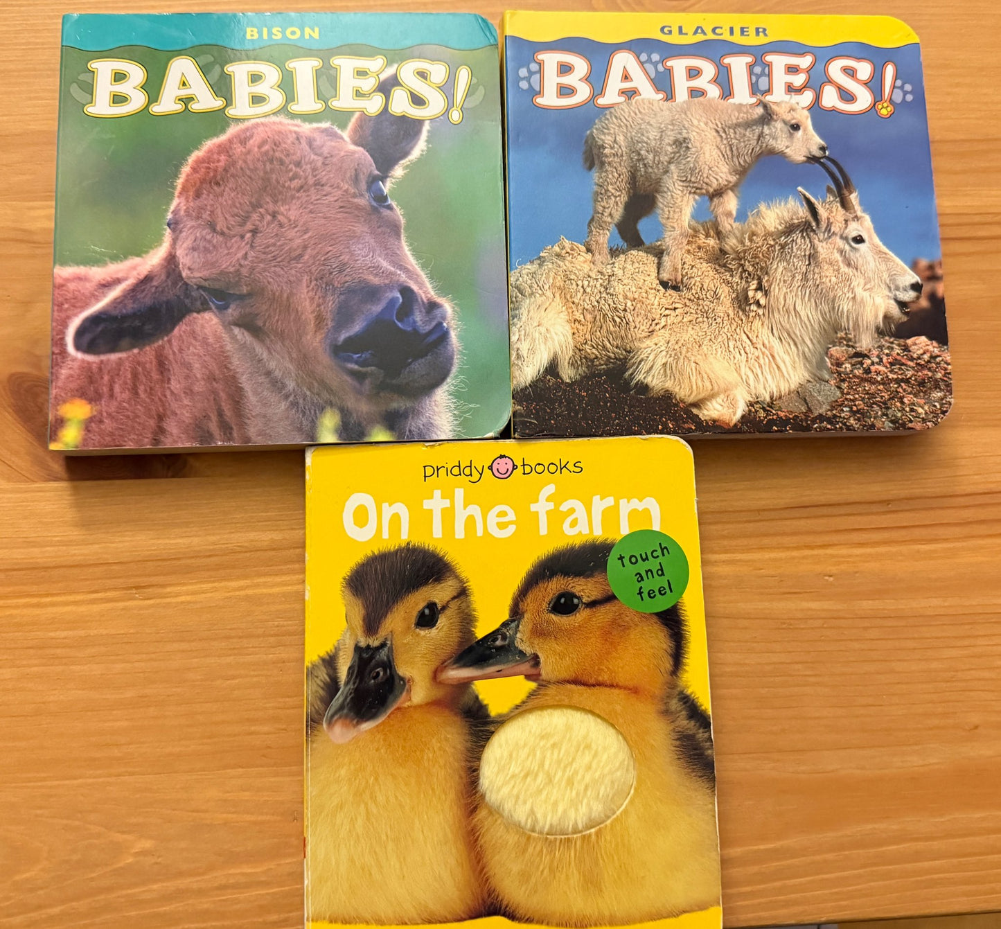 Bundle of 3 Books