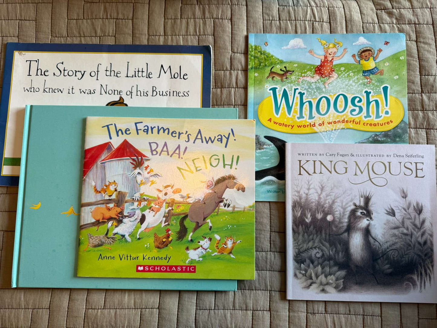 Kids Animal Book Bundle x5