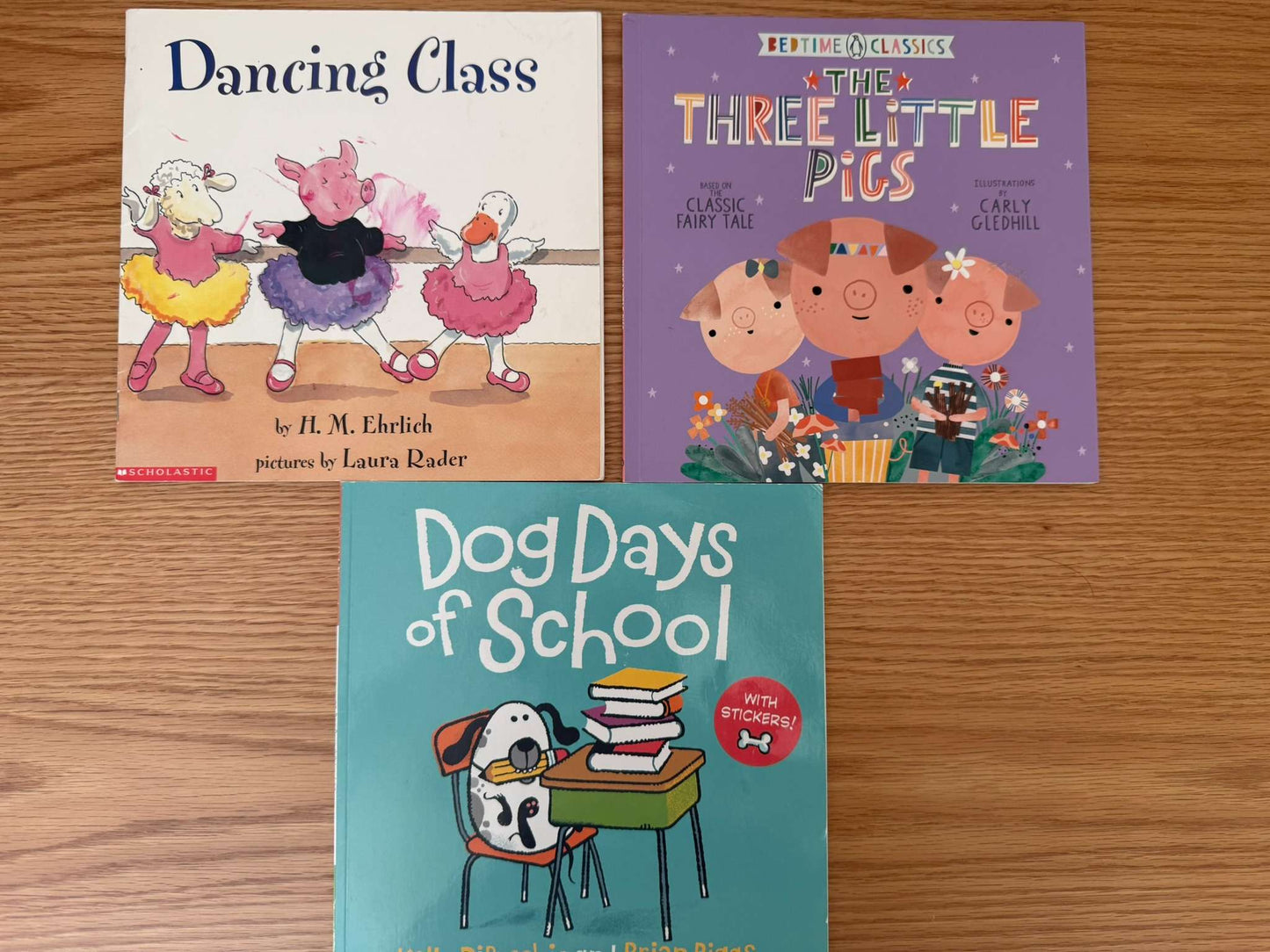 Kids Animal Picture Book Bundle