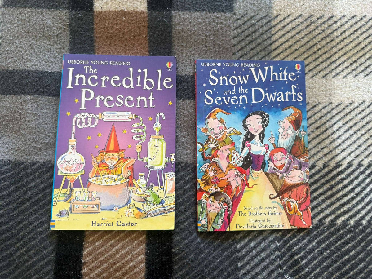 Usborne Young Reading Bundle of 2