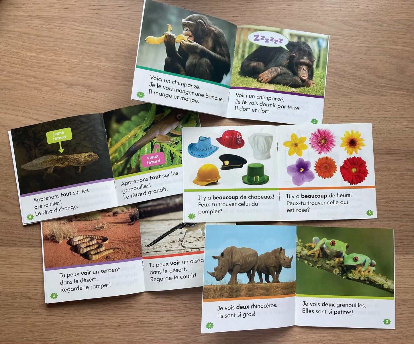 Bundle Mes Petits Livres #1