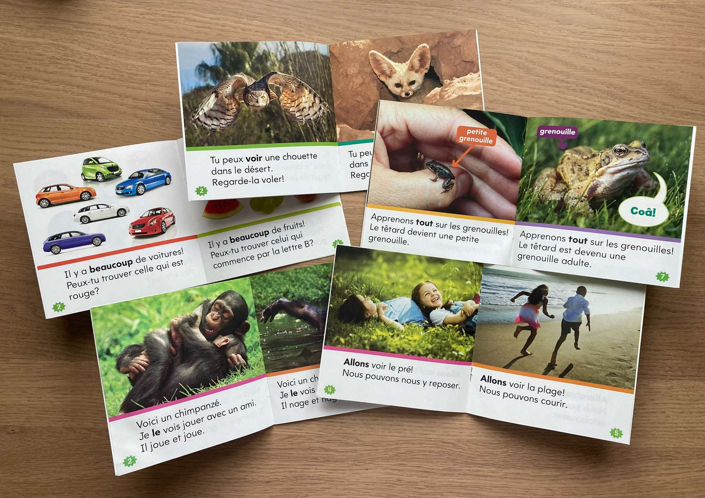 Bundle Mes Petits Livres #2