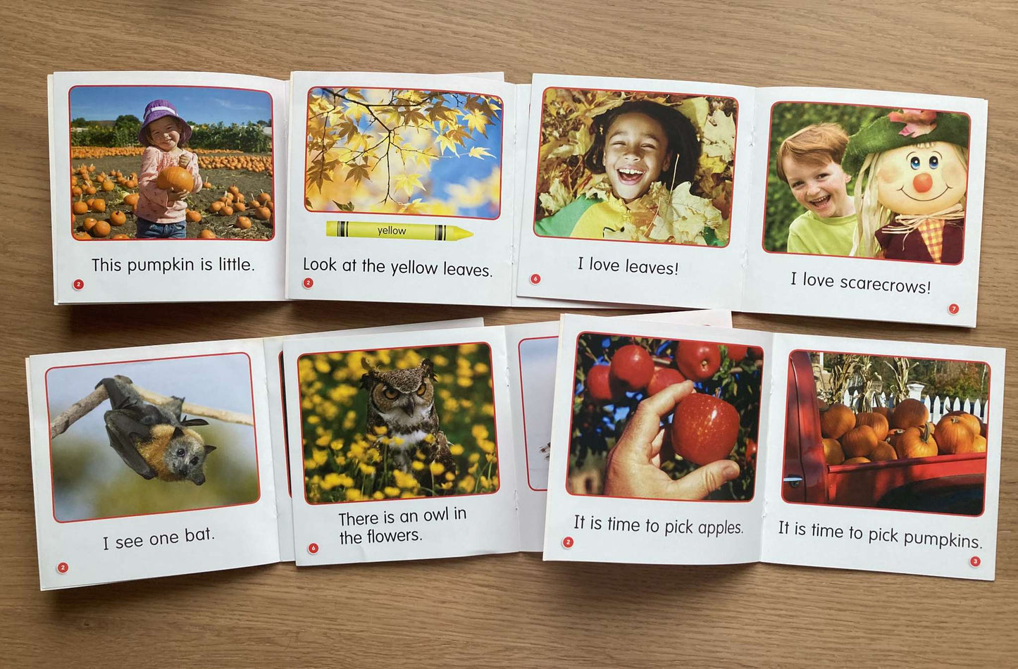 Bundle Mini Books Level A