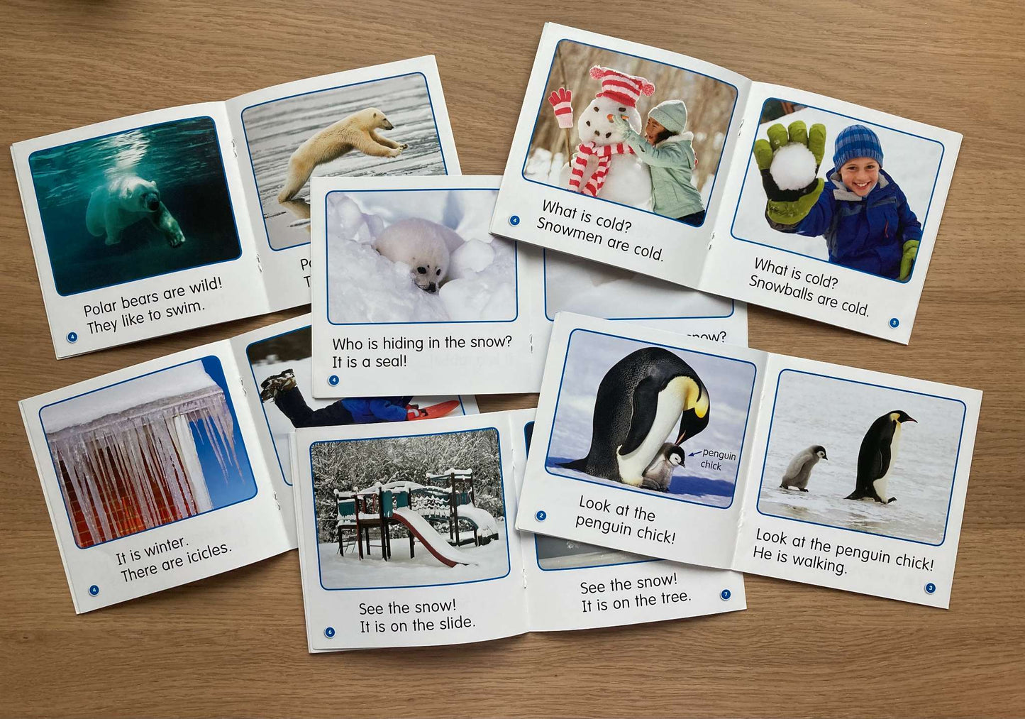 Bundle Mini Books Level B