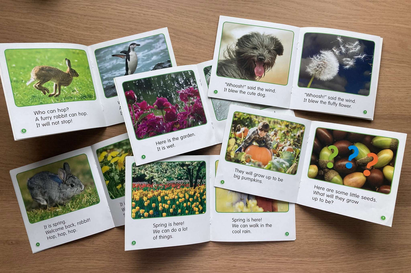 Bundle Mini Books Level C