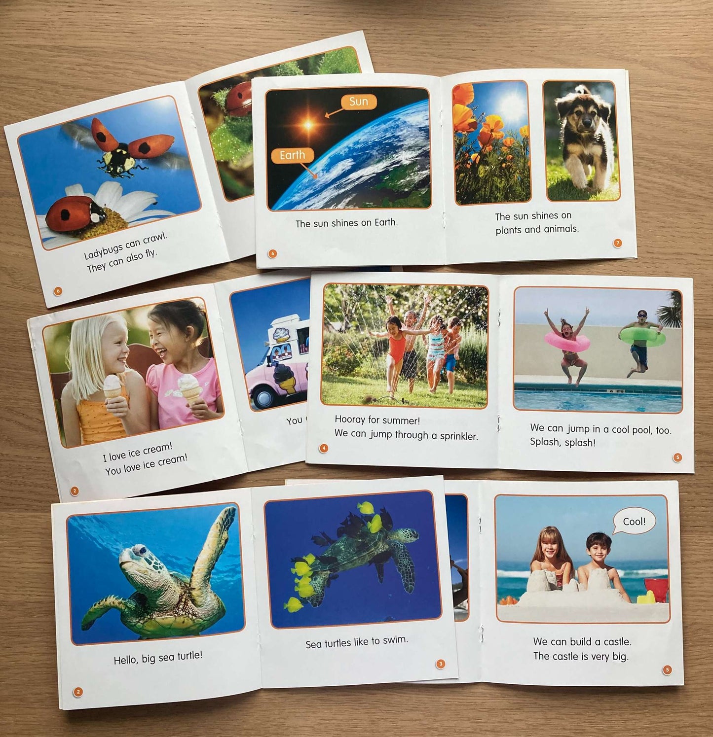 Bundle Mini Books Level D
