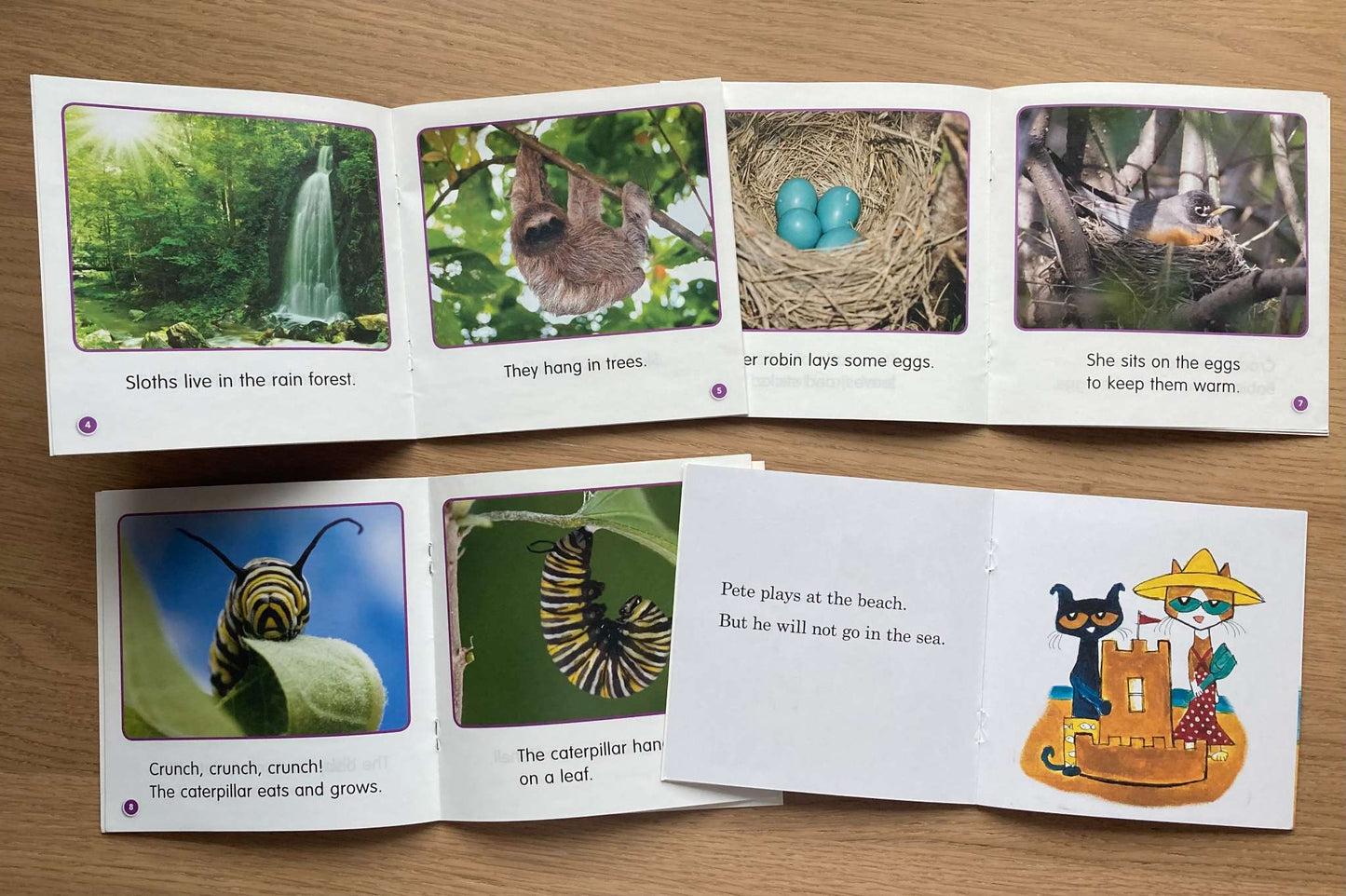 Bundle Mini Books Level E & Pete the Cat Scaredy-Cat