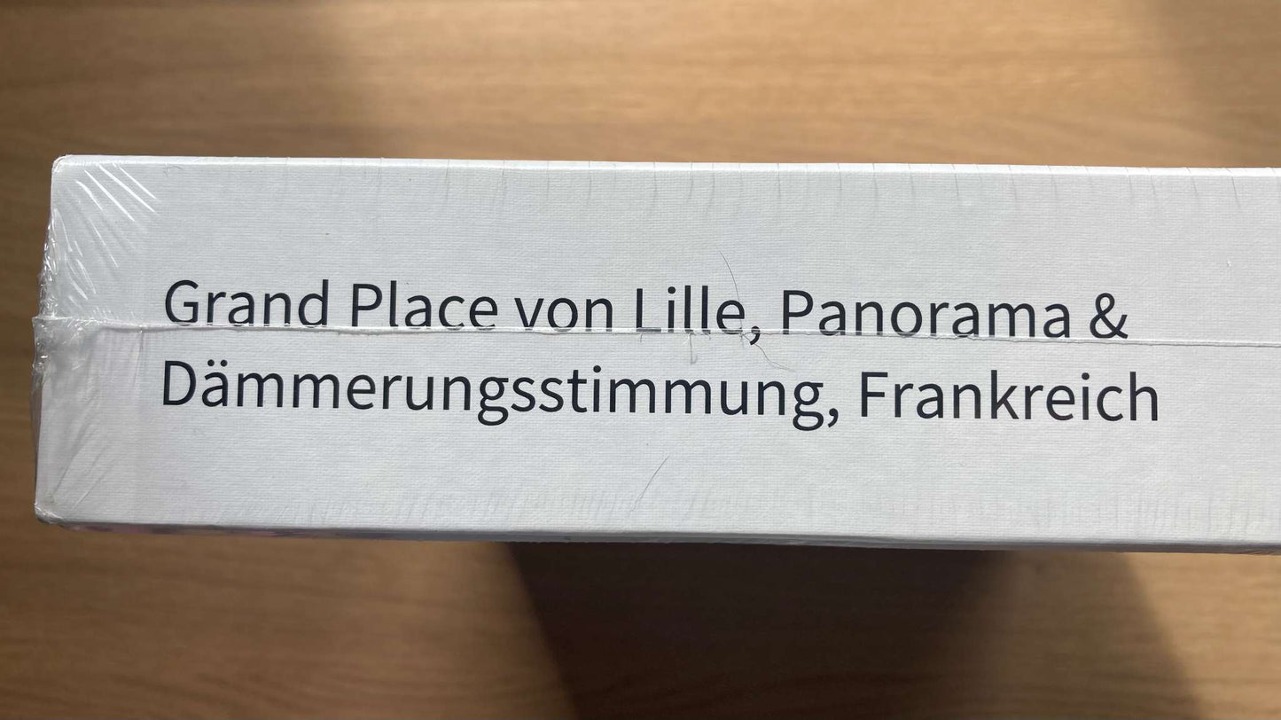 NEW Puzzle from Lille, France