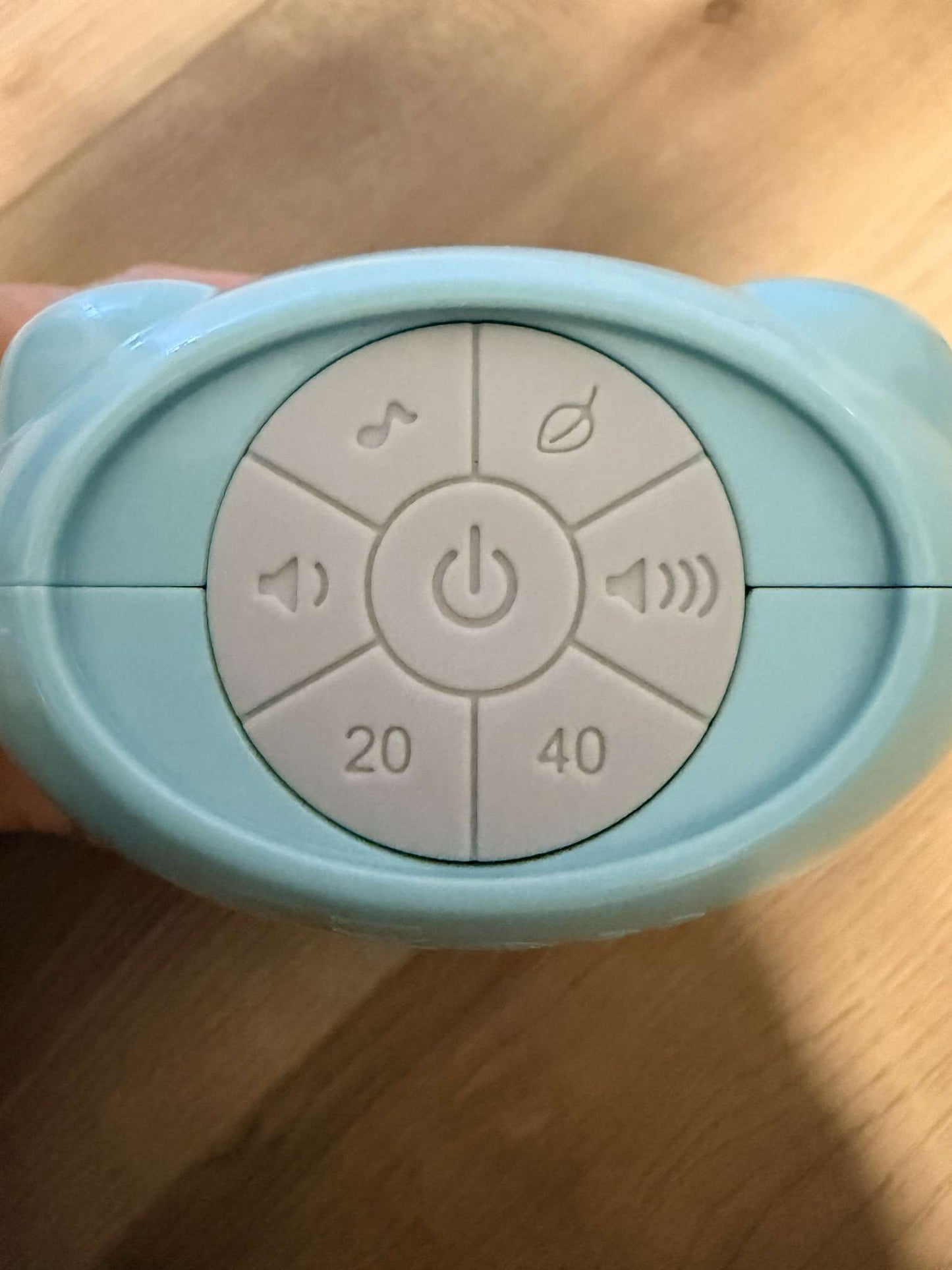 Fisher-Price Soothe & Go Succulent