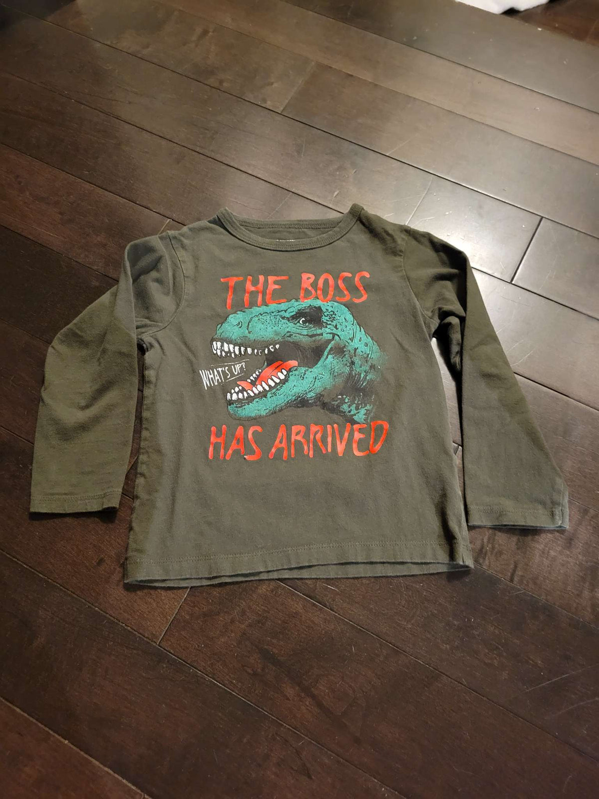 3T Dinosaur clothes., Kids 3T